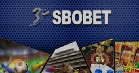 Cá độ bóng đá Sbobet 98Win có thể dễ dàng chiến thắng